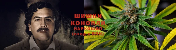 гашик Магас