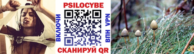 цена   МЕГА вход  Галлюциногенные грибы GOLDEN TEACHER  Хабаровск 