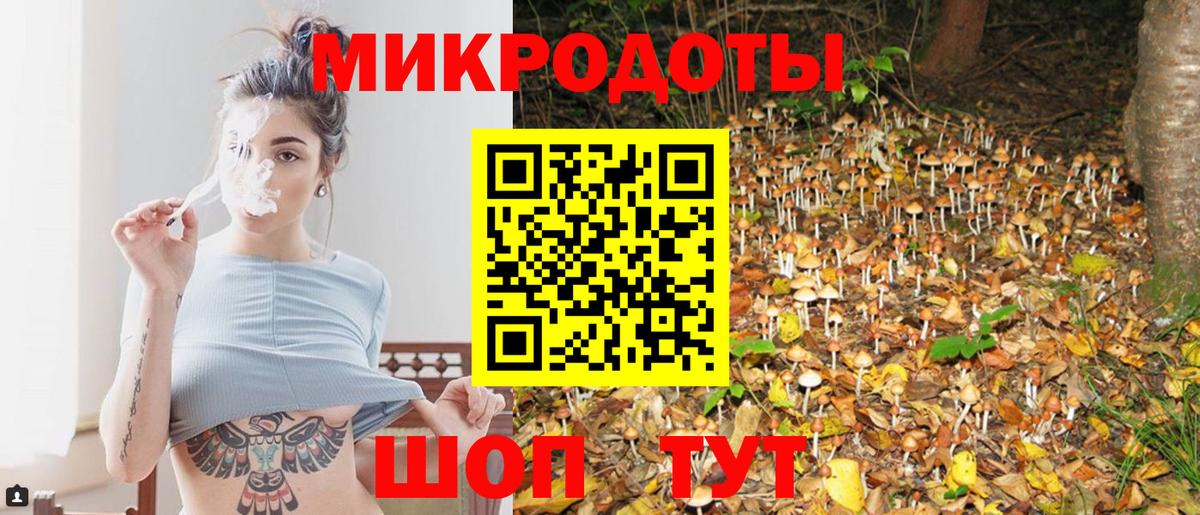 Галлюциногенные грибы MAGIC MUSHROOMS Хабаровск