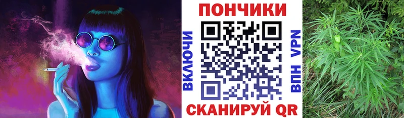 Каннабис сатива Хабаровск
